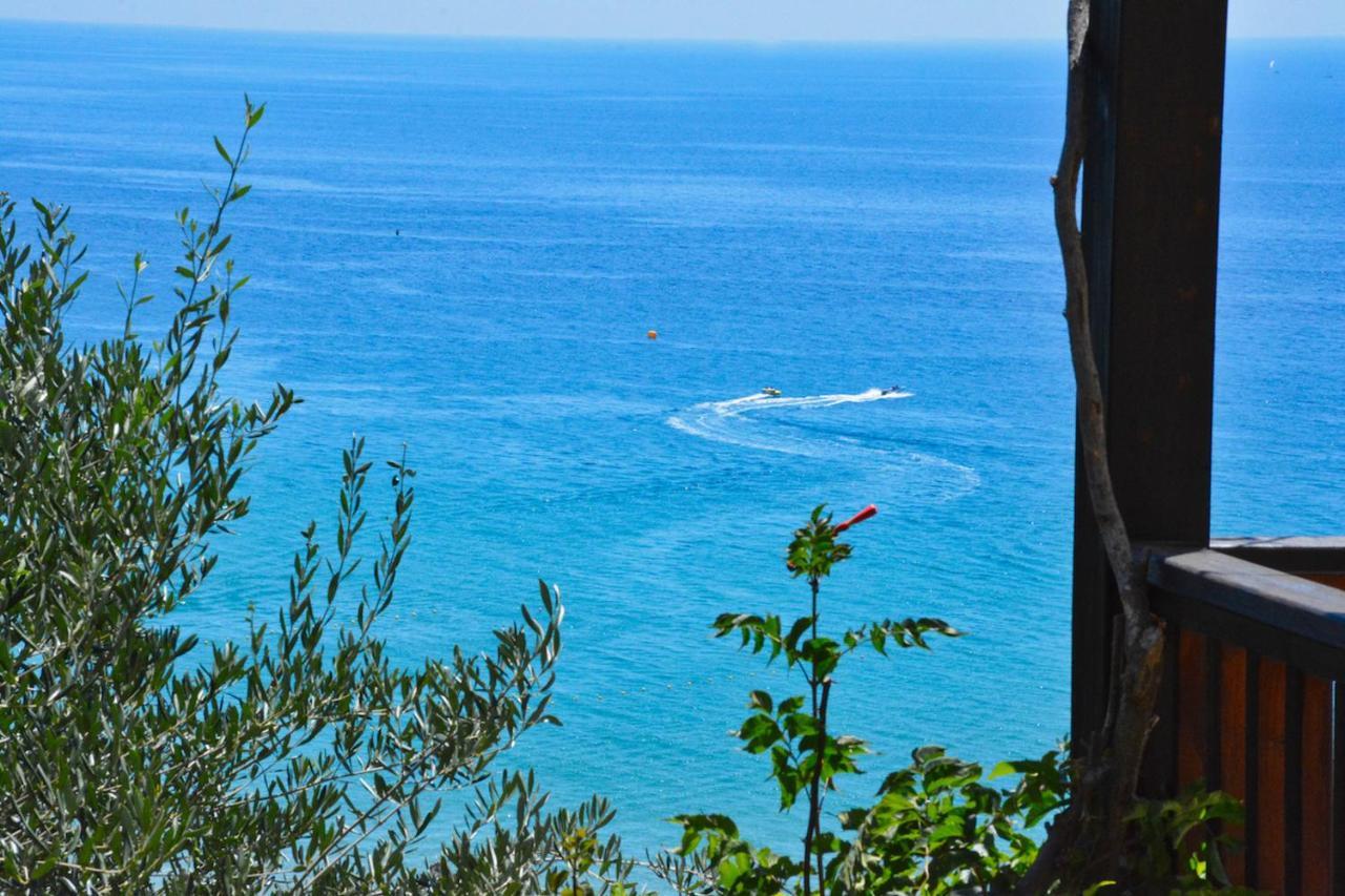 Corfu Resorts Apartments Pelekas Eksteriør billede