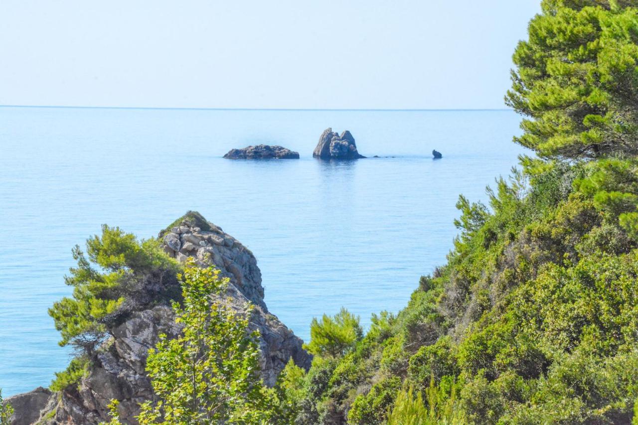 Corfu Resorts Apartments Pelekas Eksteriør billede